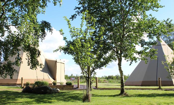 Tipi Glamping Wales